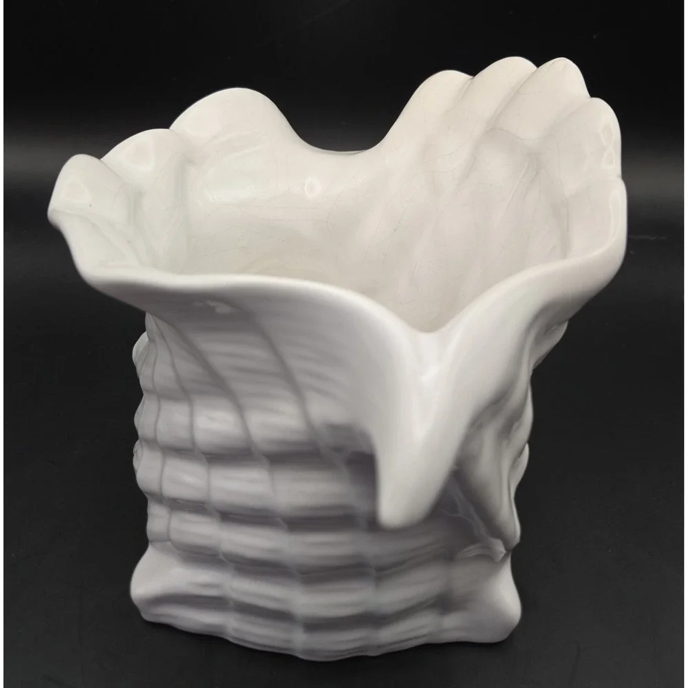 Pereias rare conch